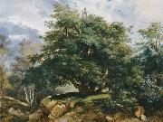 Old Oak in the Forest of Fontainebleau Jules Coignet